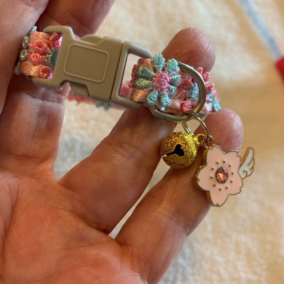 Cat Collars Bundle - Picture 5 of 11